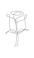 One line drawing. Garden rose with leaves. Hand drawn sketch. template