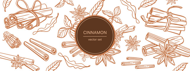 Isolated hand drawn vector set of cinnamon in engraving style. Braun and chocolate colors. Cinnamon sticks and star anise. Style spice and flavor object. Cooking and aromaterapy ingredient.