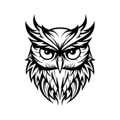 Vector illustration of owl isolated on white background. For kids coloring book.

