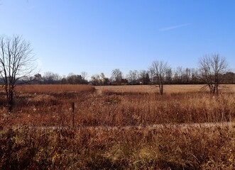 Obraz premium The country tall grass prairie on a sunny fall day.