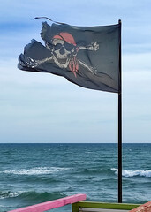 Bandera pirata en el mar