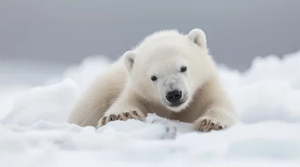 Fotobehang Polar Watch © Saltanat