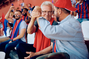 Happy senior sports fan and his son celebrating during match at stadium.