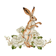 Watercolor vintage hare with magnolia clipart Illustration