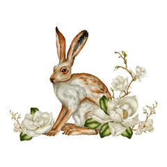 Watercolor vintage hare with magnolia clipart Illustration
