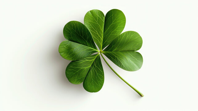 Picture of four leaf clover on white surface. Suitable for St. Patrick's Day designs and good luck concepts