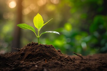 Green plant sprouting from soil, growth concept, nature background, gardening and environment themes, botanical illustrations, and educational materials or earth day celebration. - obrazy, fototapety, plakaty