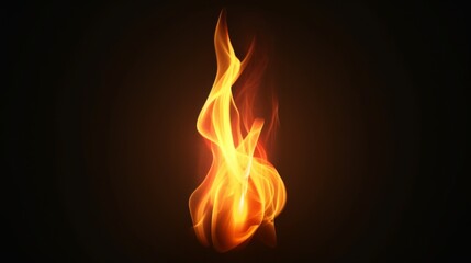 Fire flame on black background
