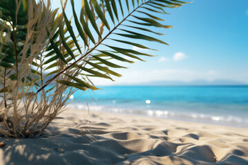 Detailed view of plant growing on sandy beach. This image can be used to depict beauty of nature in coastal environments