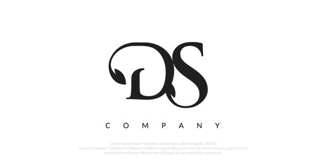 Initial DS Logo Design Vector 