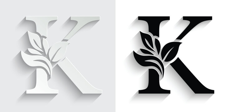 letter K  flower letters. Vintage ornament initial Alphabet. Logo vector	
