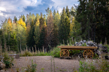 Obraz premium Wooden wheel in the middle of a green forest, Wooden cart in the autumn forest against the background of the sky