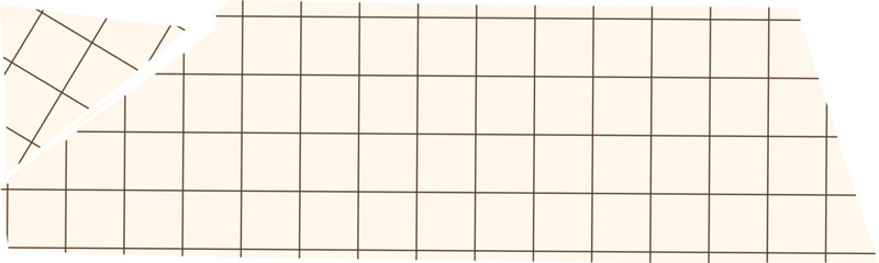 Piece of torn scotch tape or piece of checkered crumpled paper.