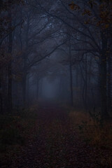 This evocative image captures the essence of a dusk-enshrouded forest path, enveloped in the...
