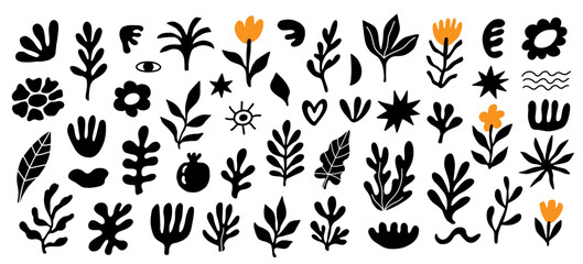 Organic boho floral shapes set abstract plants