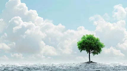 Foto op Plexiglas Conceptual image of green tree in water with clouds on background © Олег Фадеев