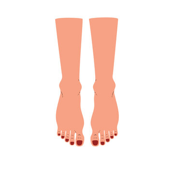 Bare feet after pedicure, spa treatment and skin care, woman legs, nails with red varnish, cartoon vector cosmetology