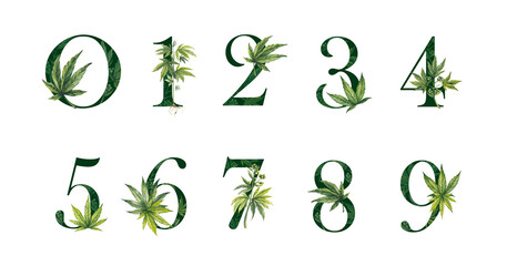 A set of green natural numbers with a cannabis leaf texture. The numbers are suitable for invitations, posters, covers, and cards. Illustrations with marijuana on a transparent background.