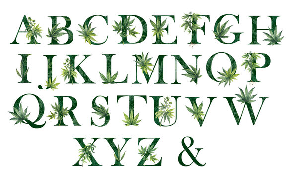 Alphabet with cannabis and marijuana leaves, green in color. Letters on a transparent background. Suitable for invitations, cards, logos, monograms and more