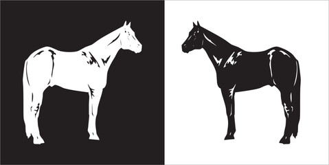 Illustration vector graphics of horse icon