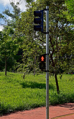 Red traffic light in Ribeirao Preto, Sao Paulo, Brazil