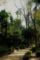 Parque de Mar&iacute;a Luisa in Sevilla