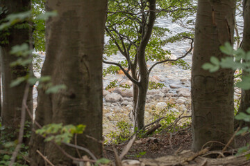 Blick auf den Kiesstrand auf Rügen 