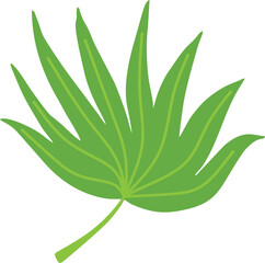 Tropical Leaf Illustration Element