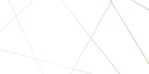 golden chaotic lines abstract geometric pattern textrue. vector illustration. geometric design created using light gold digital net web line tecnology. white color in backdrop.