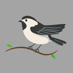 Vector robin bird tit flying in flat style concept illustration