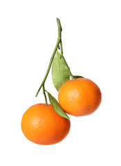 Fresh tangerines with green leaves isolated on white