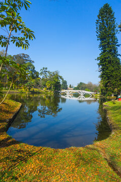 Ward's Lake aka Nan Polok in Shillong during autumn