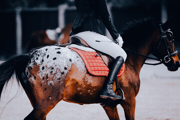 A photo of a spotted pony with a rider in the saddle at an equestrian competition. Horse riding.