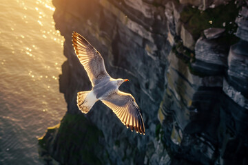 Seagulls flying above rough sea cliffs in scenic Irish landscape. Wild birds of west coast of...