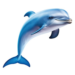 Cute dolphin jumping isolated on transparent or white background