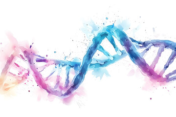 Fototapeta premium A watercolor drawing of the DNA