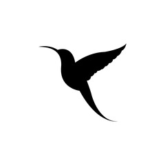 hummingbird silhouette vector premium