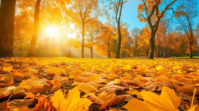 Vibrant Autumn Landscape, Bright Colors in Nature's Fall Palette