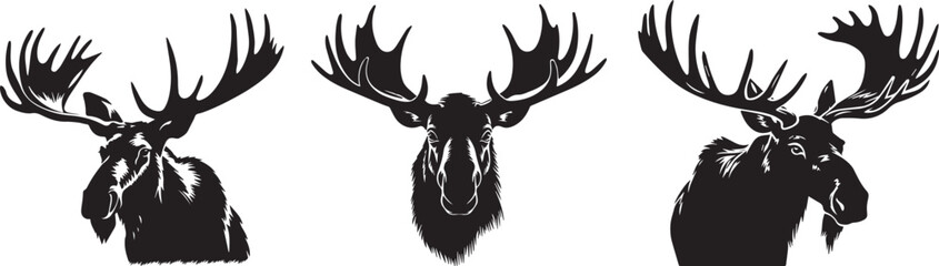 Moose head, black and white vector graphics - obrazy, fototapety, plakaty