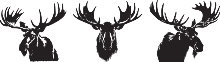 Poster Moose head, black and white vector graphics © Cris