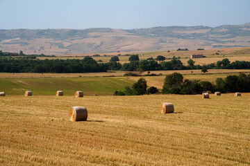 Fototapeta premium Country landscape near Oppido Lucano and San Chirico, Basilicata, Italy