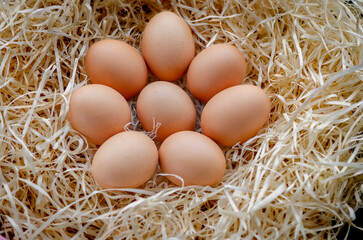 A pile of brown eggs in a nest. chicken eggs basket on the hey