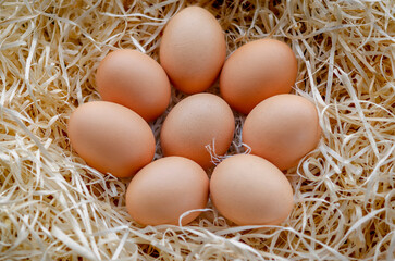 A pile of brown eggs in a nest. chicken eggs basket on the hey