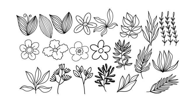Doodle line art botanical floral, Hand drawn flowers,  minimalist flowery art for print, tattoo, Exotic summer botanical illustrations. great set collection clip art Silhouette on white background.