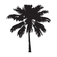 Black Coconut tree vector illustration, white background,