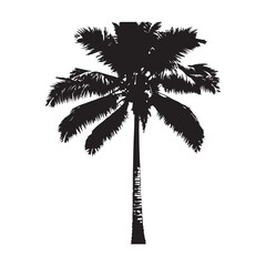 Obraz premium Black Coconut tree vector illustration, white background,