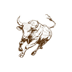 Angry bull runs towards the opposite direction hand drawn sketch