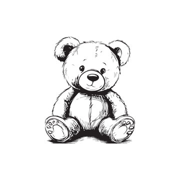 hand drawn teddy bear