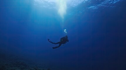 Dangerous dive to study deep sea flora and fauna