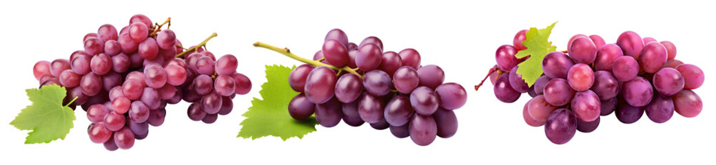 Fototapeta premium Three bunches of red grapes on a transparent background illustration, Generative AI